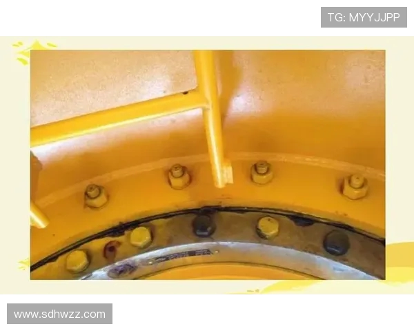 健身初学者必读全方位指南打造健康体魄从基础到进阶的有效训练方法