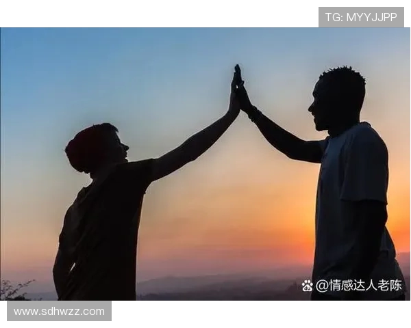 天才医生肖恩墨菲以非凡智慧与真挚情感重塑医学奇迹之路