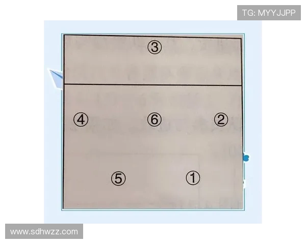 上海排球队进攻体系解析与战术创新探讨 上海排球队进攻体系解析与战术创新探讨
