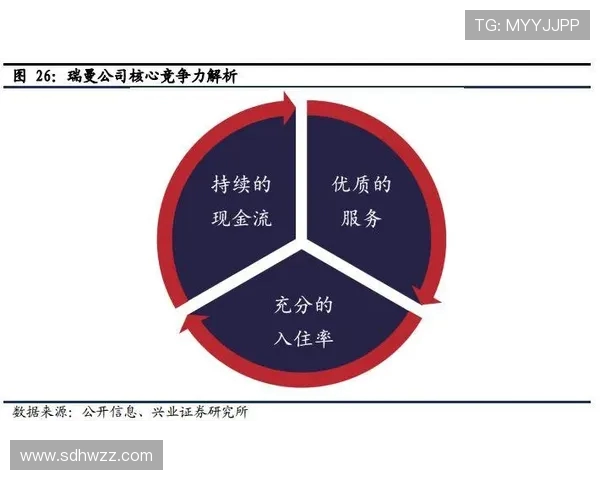 深圳足球队运营分析:成功与挑战并存的背后故事