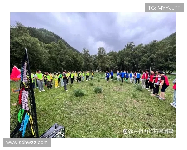 飞盘竞技中的团结力量：深入解析北京飞盘队的协作与默契