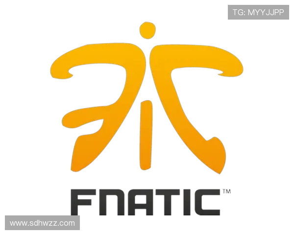 Fnatic战队重塑荣耀征程全面解析其崛起之路与未来挑战