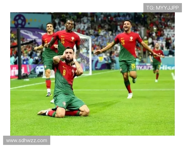 2019年葡萄牙与瑞士激战回顾及赛后分析