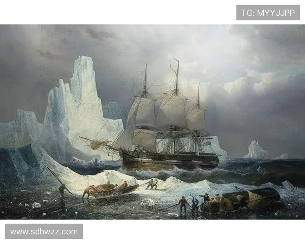 墨西哥与威尔士精彩对决录像回放全程回顾与分析